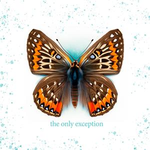 极品美女扒开粉嫩小泬!
