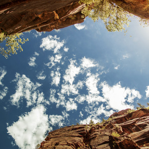 极品美女扒开粉嫩小泬!
